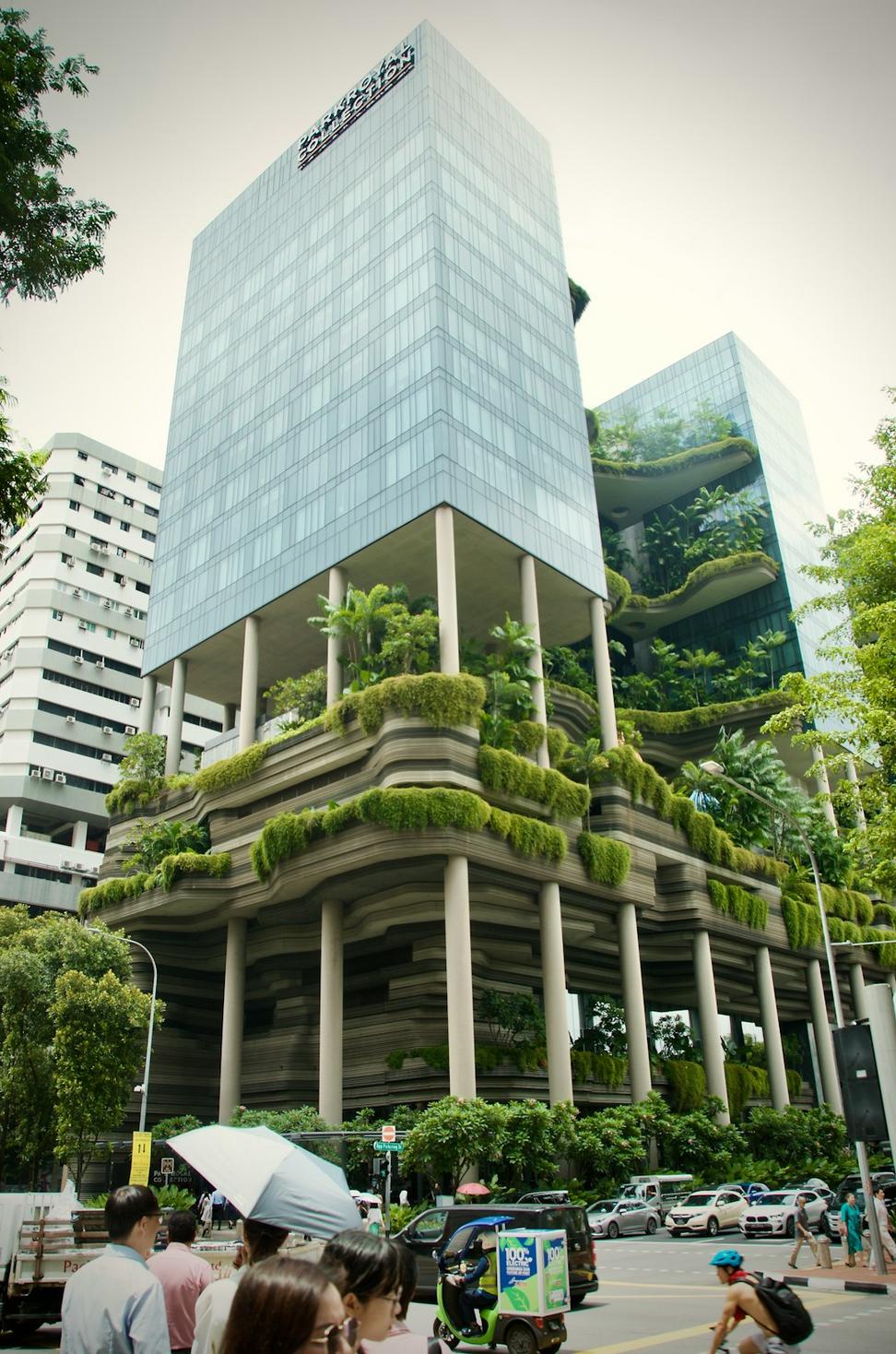 Green roof design