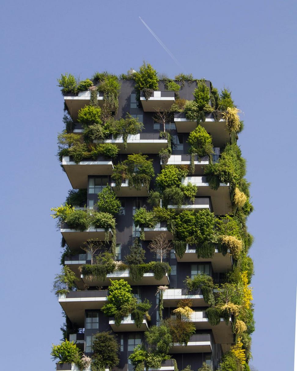 Lakeview Residence