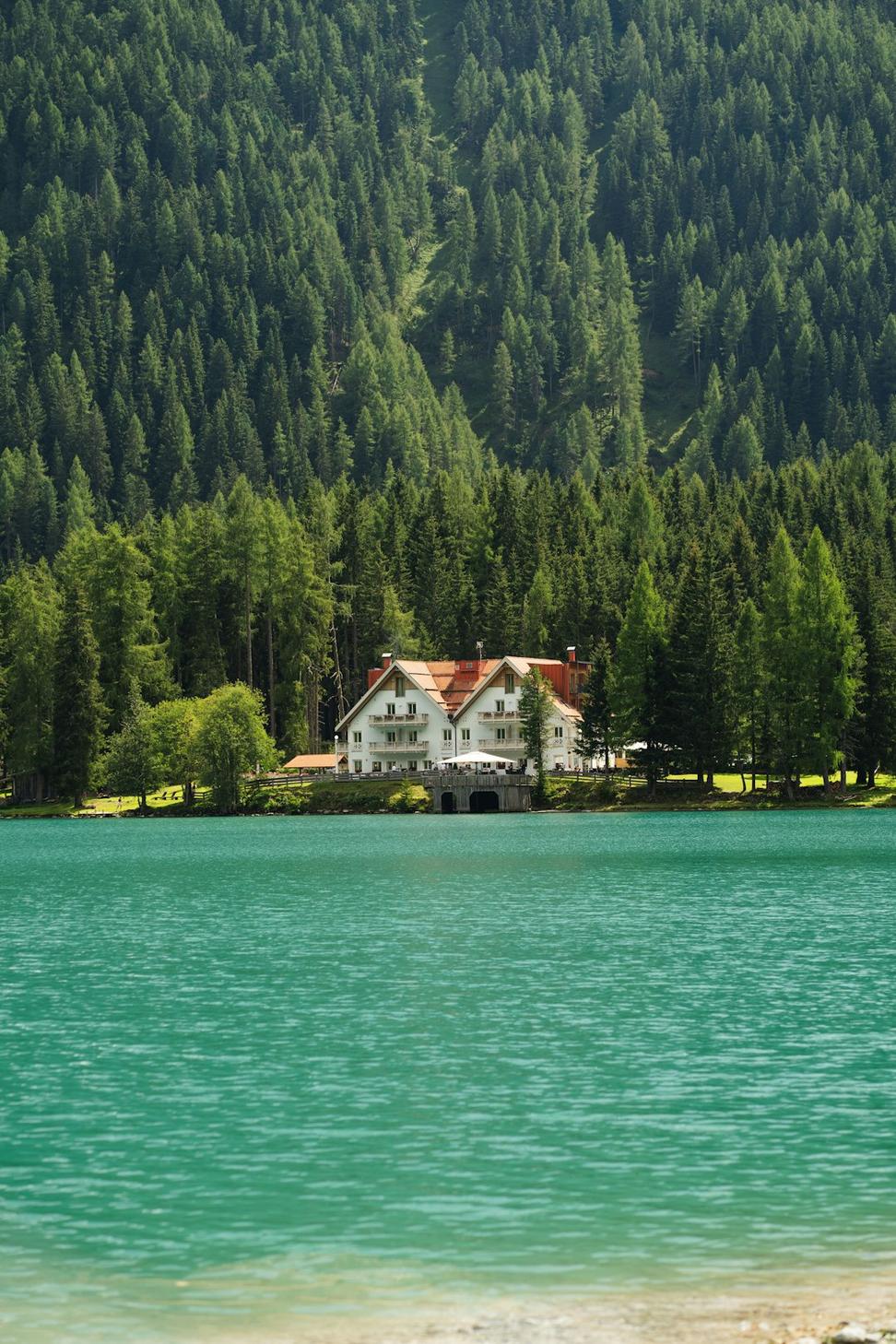Lake view