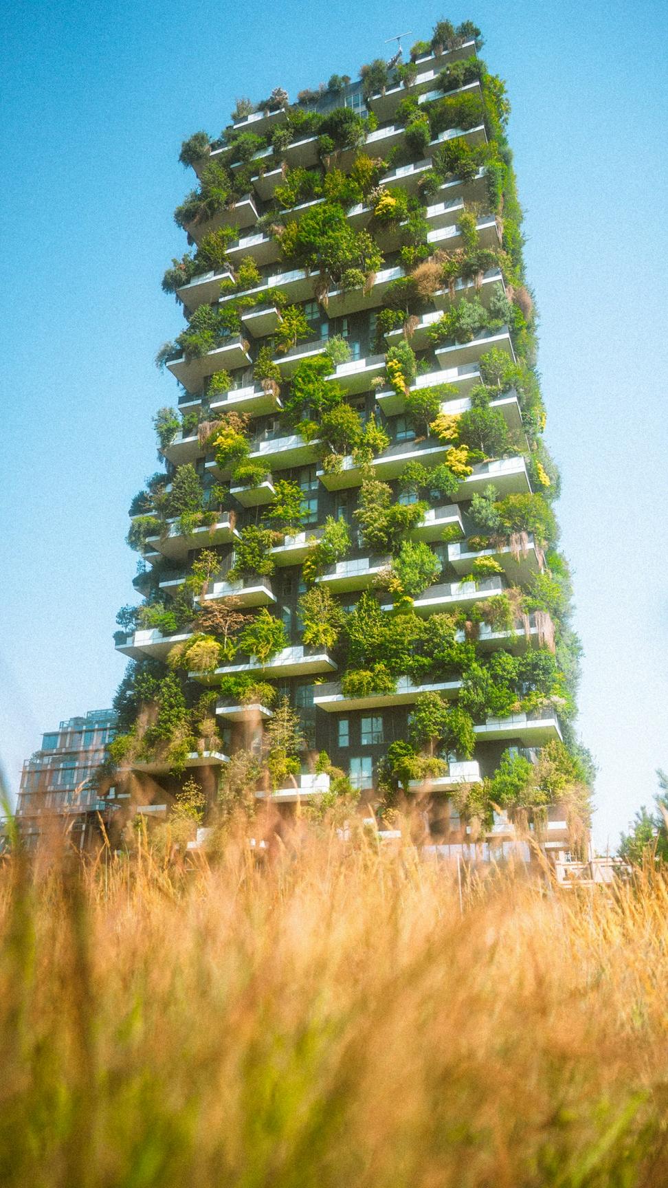 Sustainable architecture project